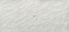 BQ8891 MADREPEROLA (H)