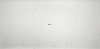 Q717_Bianco_Giogia